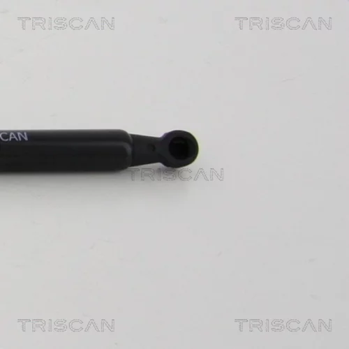 Pneumatická pružina, Batožinový/nákladný priestor 8710 24256 /TRISCAN/ - obr. 1