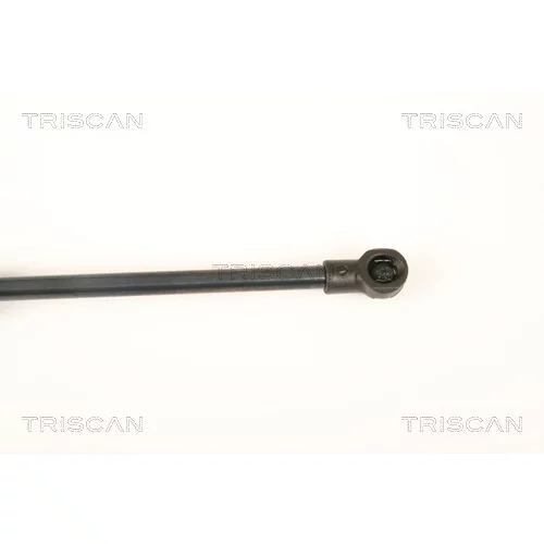 Pneumatická pružina, Batožinový/nákladný priestor 8710 25249 /TRISCAN/ - obr. 2