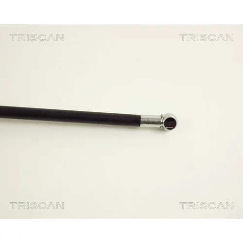 Pneumatická pružina, Batožinový/nákladný priestor 8710 50225 /TRISCAN/ - obr. 2