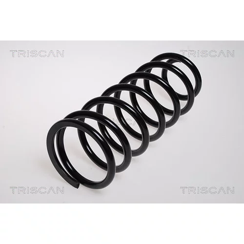 Pružina podvozku TRISCAN 8750 13167