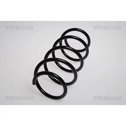 Pružina podvozku TRISCAN 8750 2565