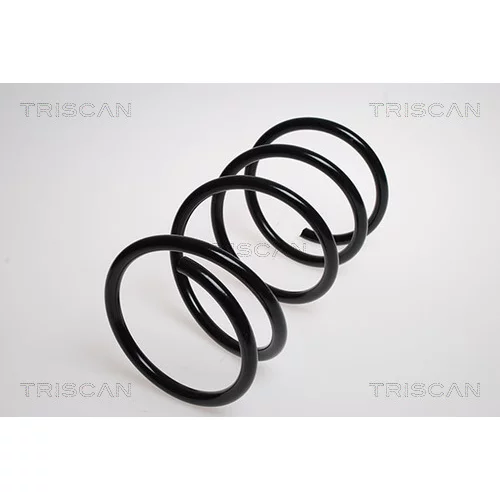 Pružina podvozku TRISCAN 8750 4079