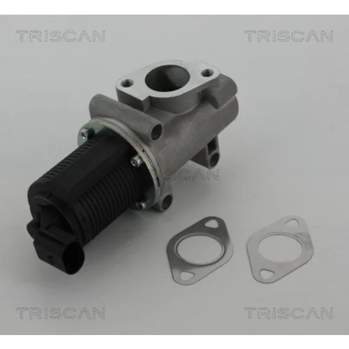 EGR ventil 8813 10005 /TRISCAN/ - obr. 2