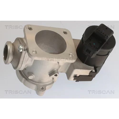 EGR ventil 8813 11020 /TRISCAN/ - obr. 3