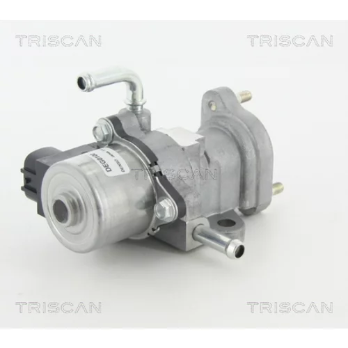 EGR ventil 8813 13002 /TRISCAN/ - obr. 2