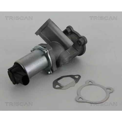 EGR ventil TRISCAN 8813 15069