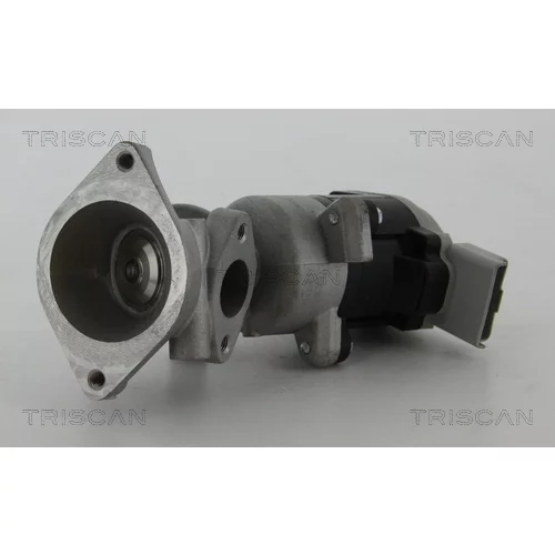 EGR ventil TRISCAN 8813 17020