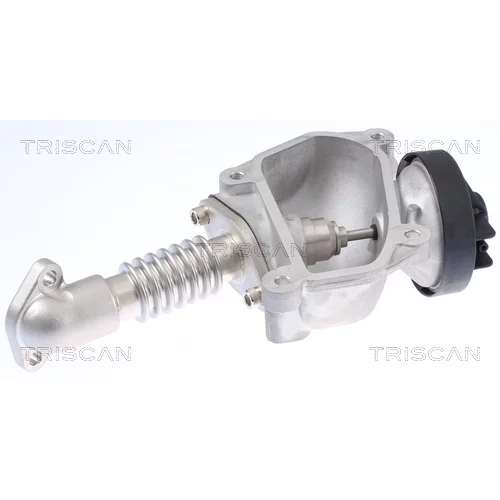 EGR ventil 8813 23024 /TRISCAN/ - obr. 2