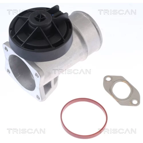 EGR ventil 8813 23203 /TRISCAN/ - obr. 1