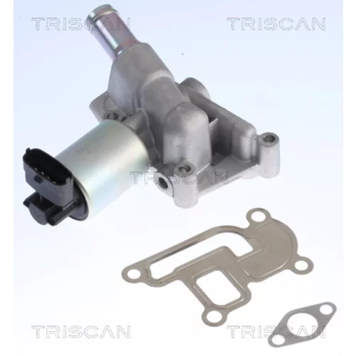 EGR ventil TRISCAN 8813 24001