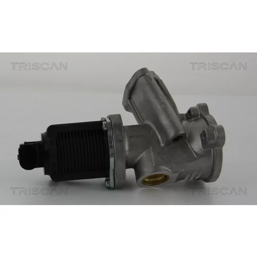 EGR ventil TRISCAN 8813 24204