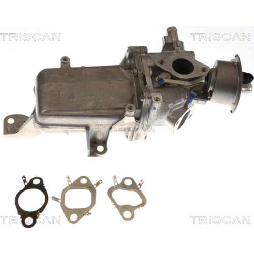EGR ventil TRISCAN 8813 25048