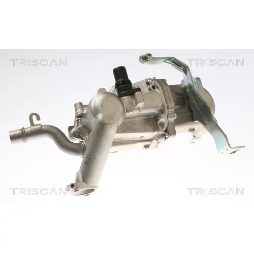 EGR ventil TRISCAN 8813 28108