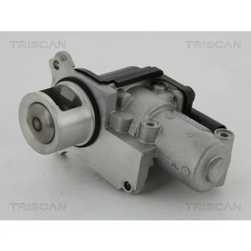 EGR ventil TRISCAN 8813 29002