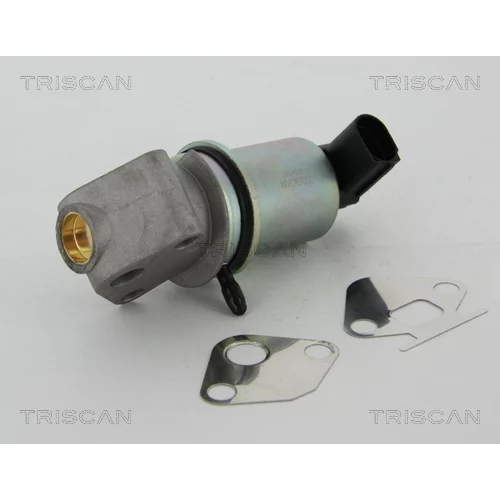 EGR ventil 8813 29044 /TRISCAN/ - obr. 2