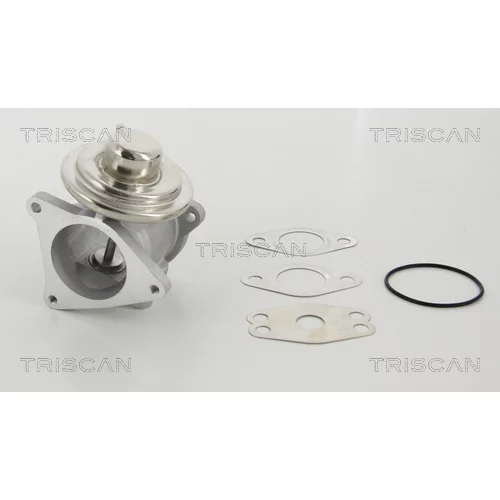 EGR ventil 8813 29111 /TRISCAN/ - obr. 1