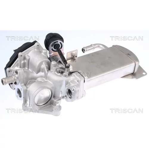 EGR ventil TRISCAN 8813 29306