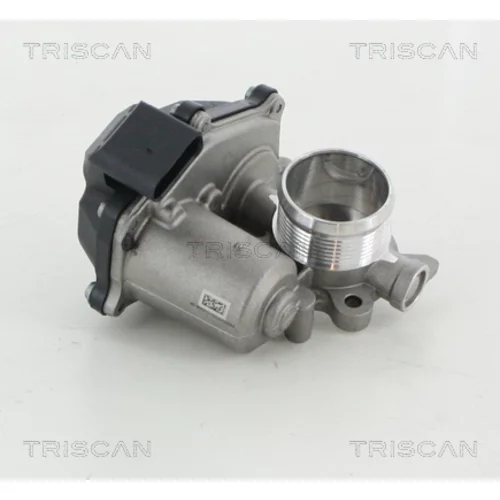 EGR ventil TRISCAN 8813 29316