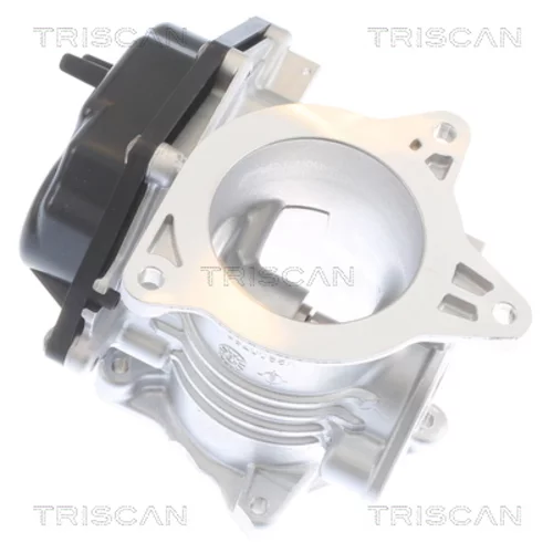 EGR ventil TRISCAN 8813 29348