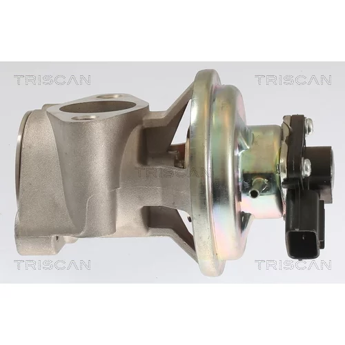 EGR ventil TRISCAN 8813 42003