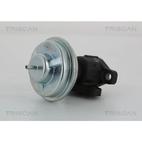 EGR ventil 8813 43005 /TRISCAN/ - obr. 1