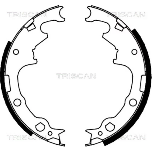 Sada brzdových čeľustí TRISCAN 8100 10001