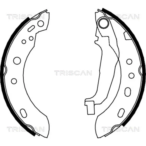 Sada brzdových čeľustí TRISCAN 8100 14001
