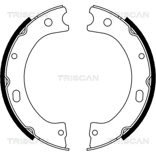 Sada brzdových čeľustí TRISCAN 8100 14011