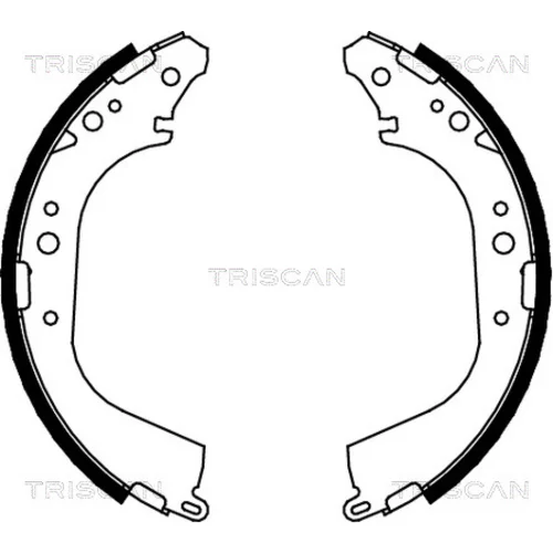 Sada brzdových čeľustí TRISCAN 8100 14565