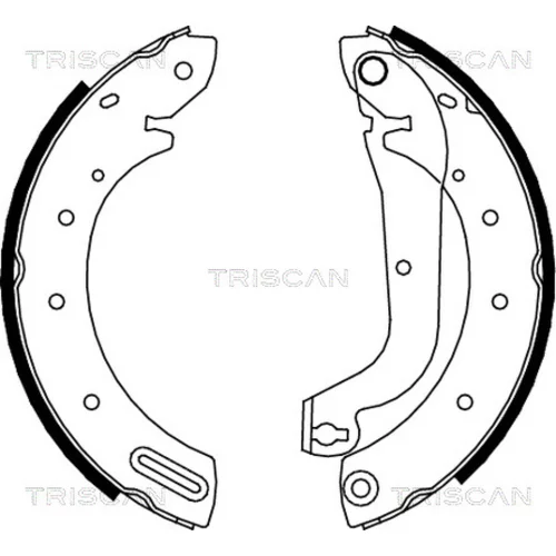 Sada brzdových čeľustí TRISCAN 8100 14596