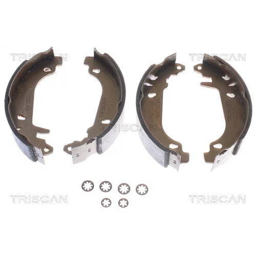 Sada brzdových čeľustí TRISCAN 8100 25476
