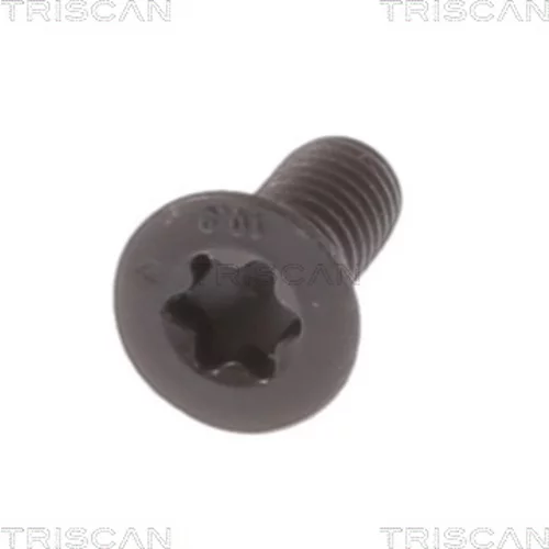 Skrutka brzdového kotúča TRISCAN 8105 11667