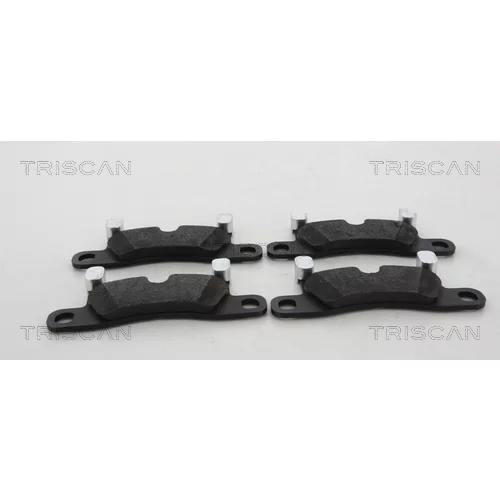 Sada brzdových platničiek kotúčovej brzdy TRISCAN 8110 20006