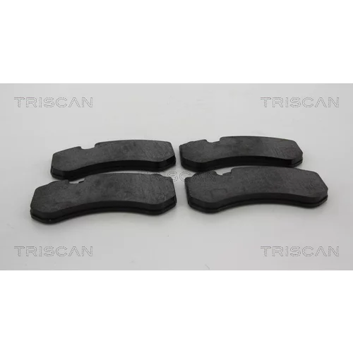 Sada brzdových platničiek kotúčovej brzdy TRISCAN 8110 23070