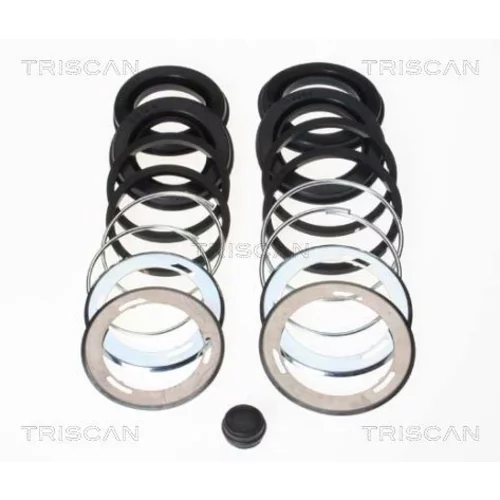 Opravná sada brzdového strmeňa 8170 204213 /TRISCAN/