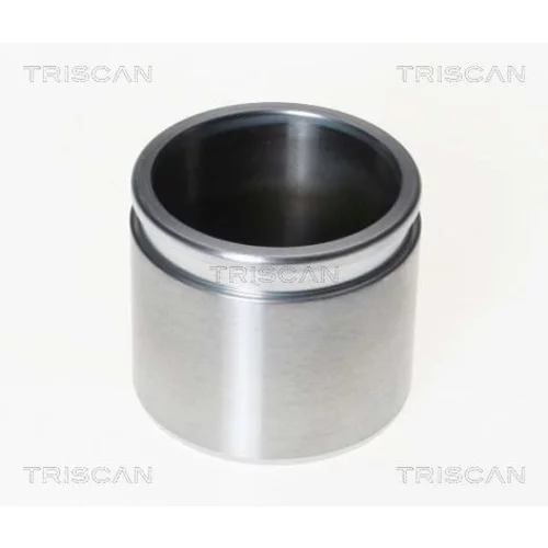 Piest brzdového strmeňa 8170 232009 /TRISCAN/