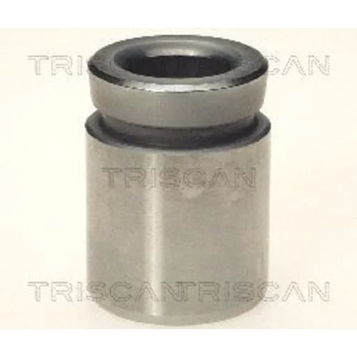 Piest brzdového strmeňa 8170 233306 /TRISCAN/