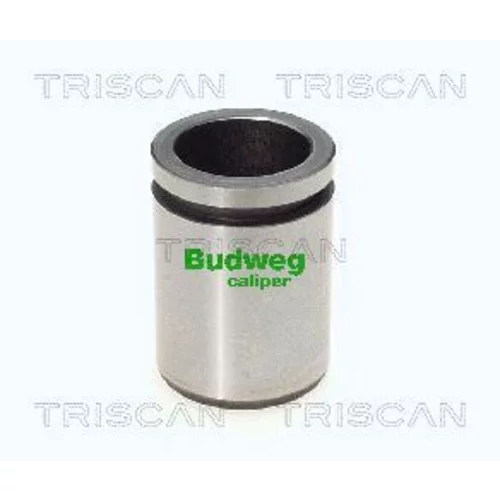 Piest brzdového strmeňa 8170 233423 /TRISCAN/
