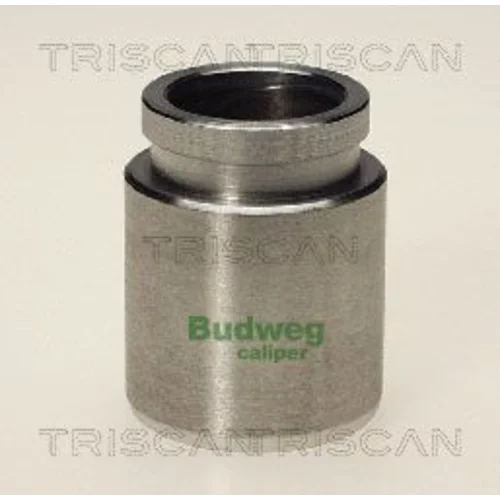 Piest brzdového strmeňa 8170 233510 /TRISCAN/