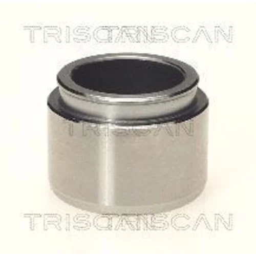 Piest brzdového strmeňa 8170 233801 /TRISCAN/