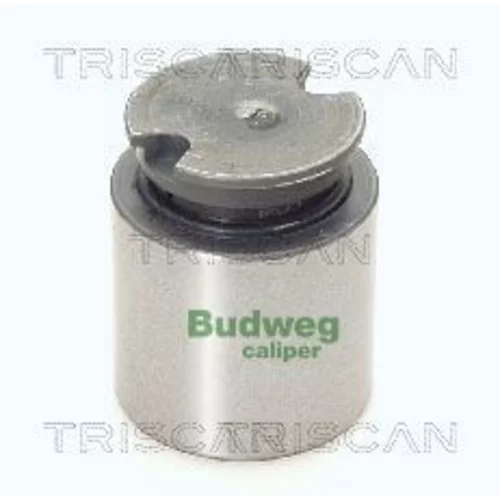 Piest brzdového strmeňa 8170 233841 /TRISCAN/