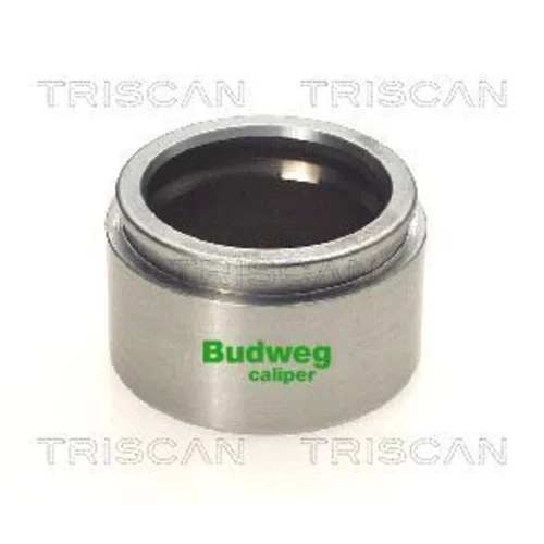 Piest brzdového strmeňa 8170 235119 /TRISCAN/