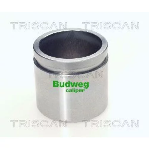 Piest brzdového strmeňa 8170 235209 /TRISCAN/