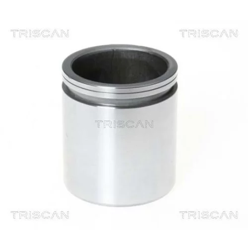 Piest brzdového strmeňa 8170 235214 /TRISCAN/