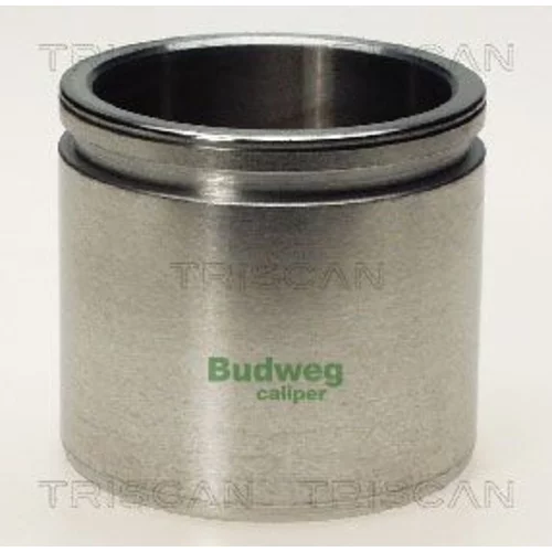 Piest brzdového strmeňa 8170 235416 /TRISCAN/