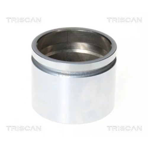 Piest brzdového strmeňa 8170 236602 /TRISCAN/