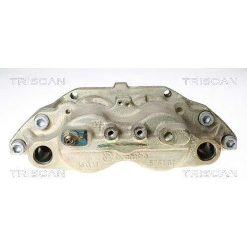 Brzdový strmeň TRISCAN 8170 343676
