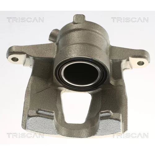 Brzdový strmeň TRISCAN 8175 10129