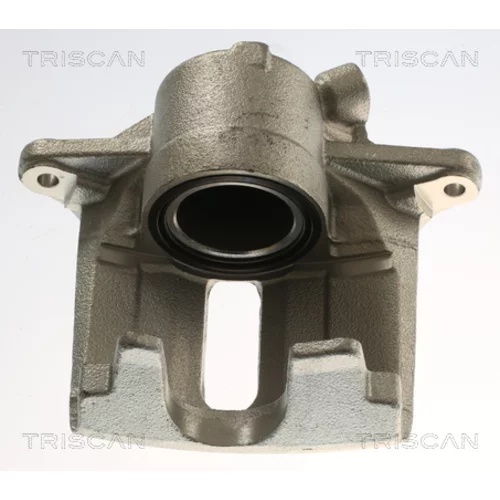 Brzdový strmeň TRISCAN 8175 25112