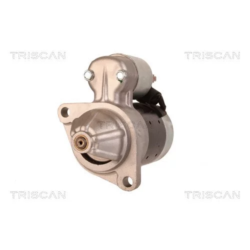 Štartér TRISCAN 8305 24002